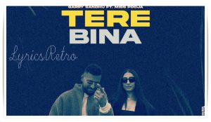 Tere Bina Song Lyrics