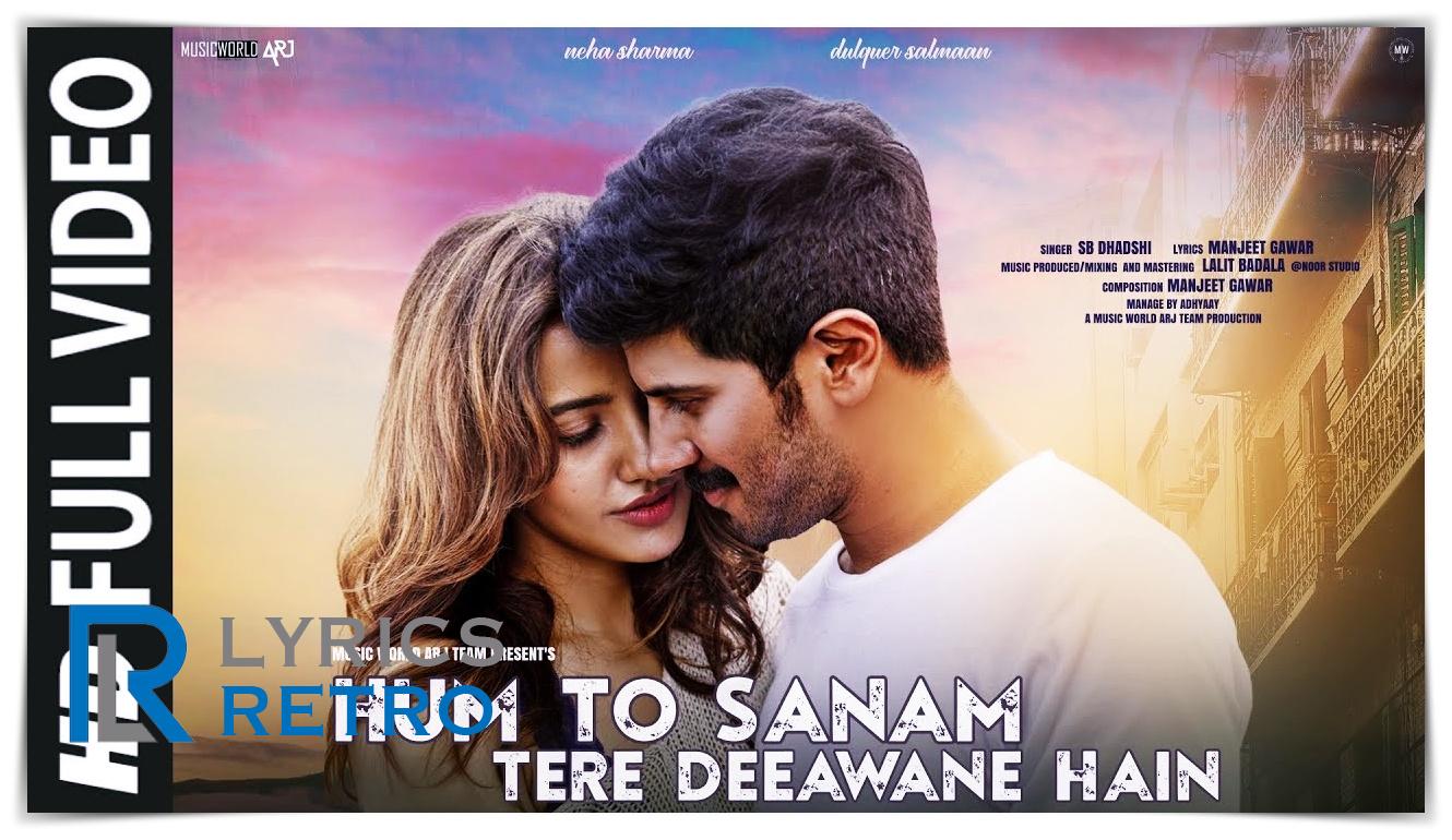 Hum To Sanam Tere Deewane Hain Lyrics